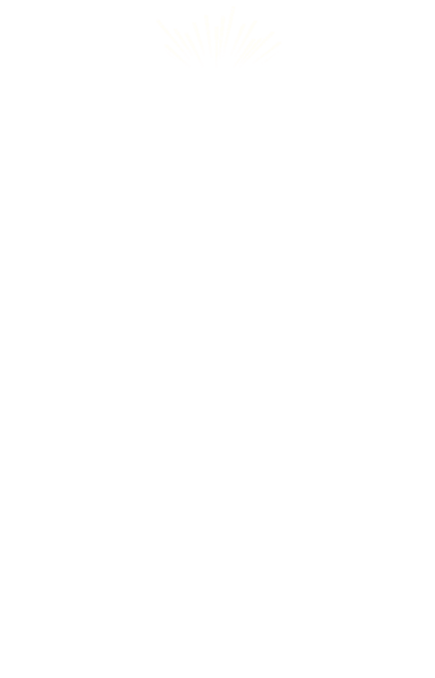 ステーキ